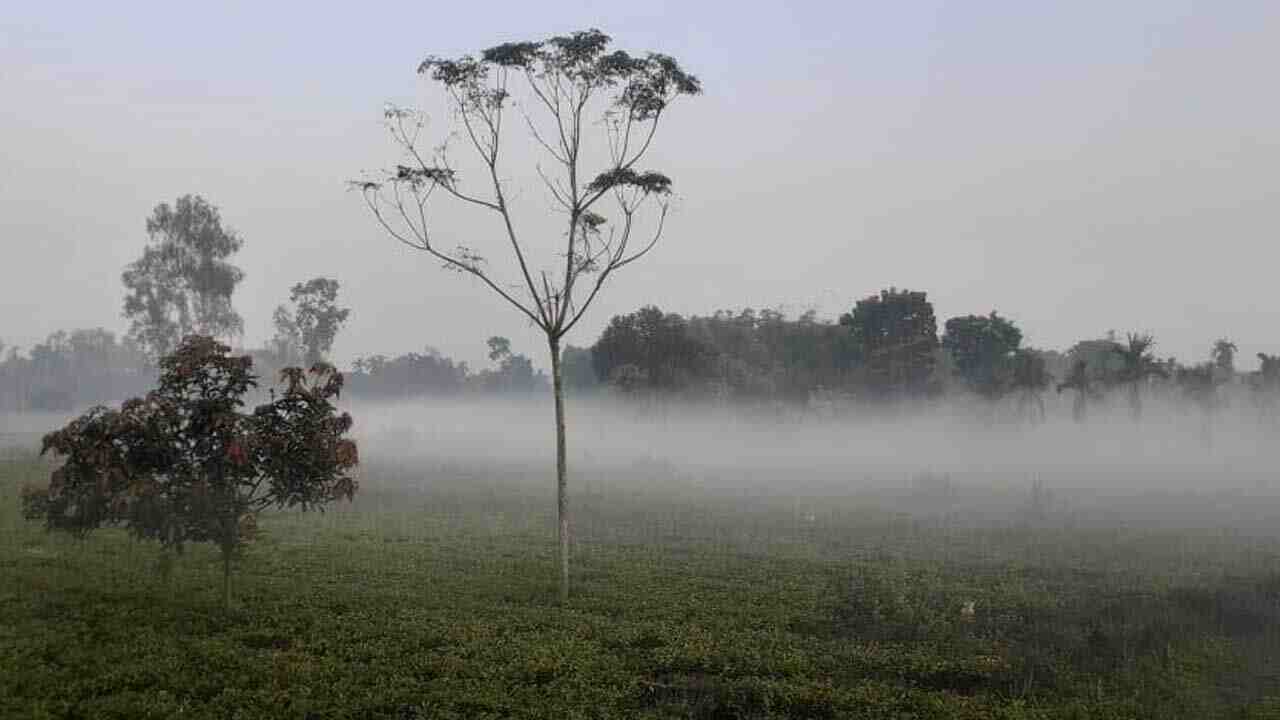 পঞ্চগড়ে তাপমাত্রা নামল ১২ ডিগ্রিতে